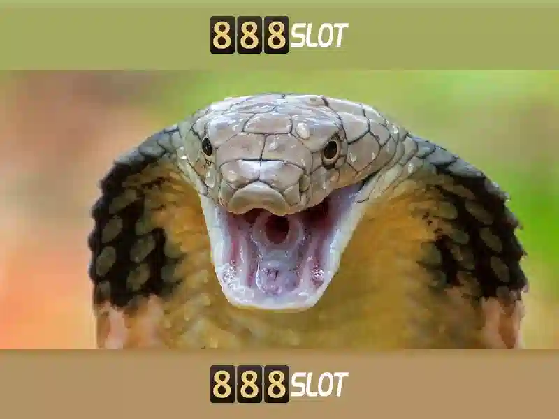 mild 888 slot: trải nghiệm casino trực tuyến đỉnh cao