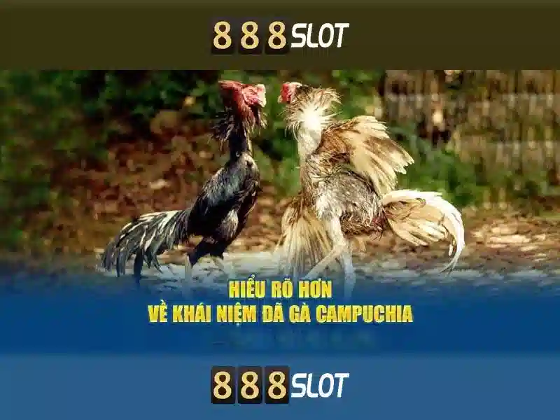 888Slot - Nền tảng máy xèng trực tuyến hàng đầu