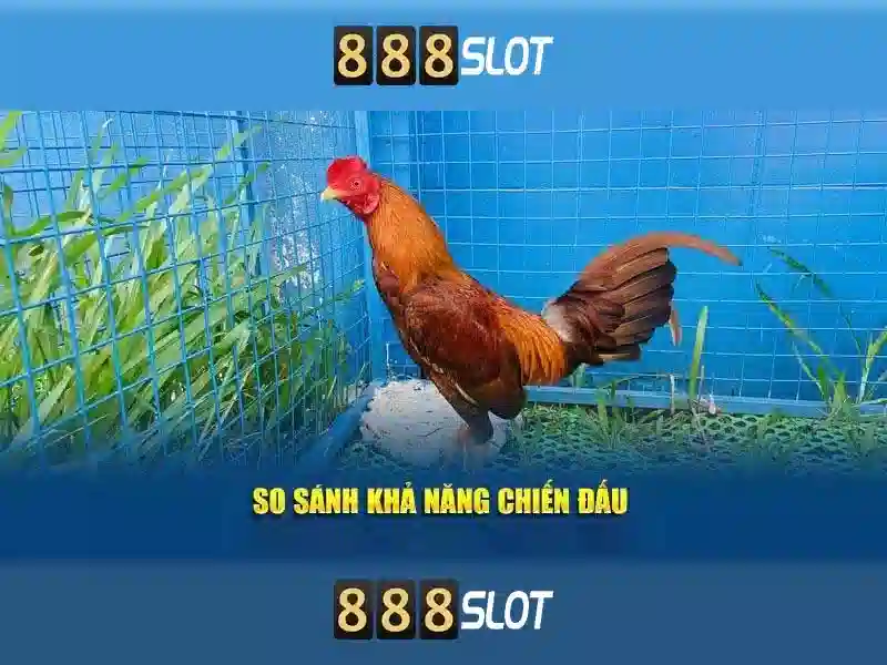 888slot - Nền tảng slot trực tuyến đáng tin cậy và giải trí cao