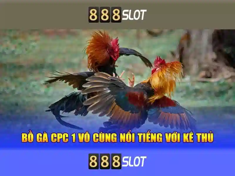 fishing slot 888: trải nghiệm đỉnh cao và định hình tương lai