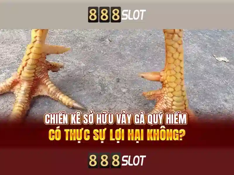 Bocor 888 slot: Khám phá trải nghiệm và giá trị nổi bật