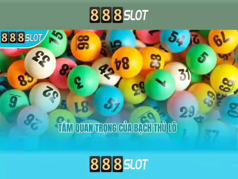 888Slot – Đánh giá và Trải nghiệm