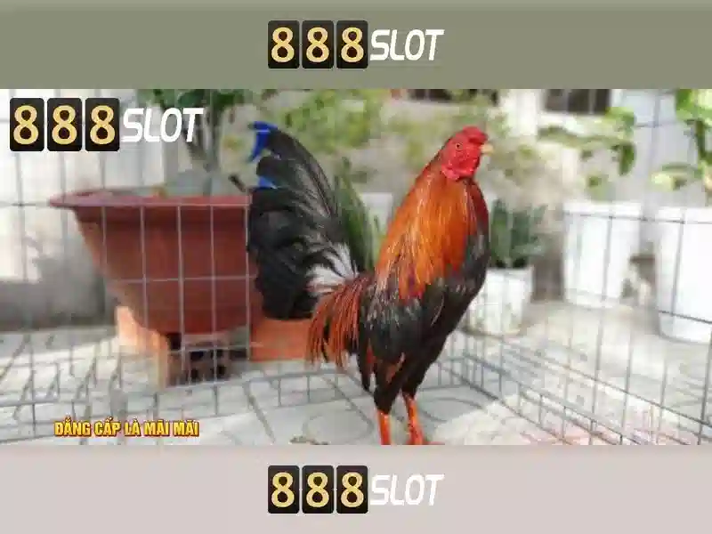 https://prostitutki-odessa.net/images/text/888slot/888slot-text2603301110.webp