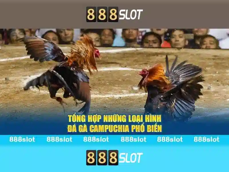 baby slot 888 – tổng quan và giá trị cốt lõi cho trải nghiệm tuyệt vời