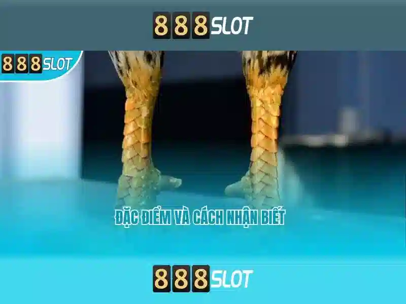 https://prostitutki-odessa.net/images/text/888slot/888slot-text2603301578.webp
