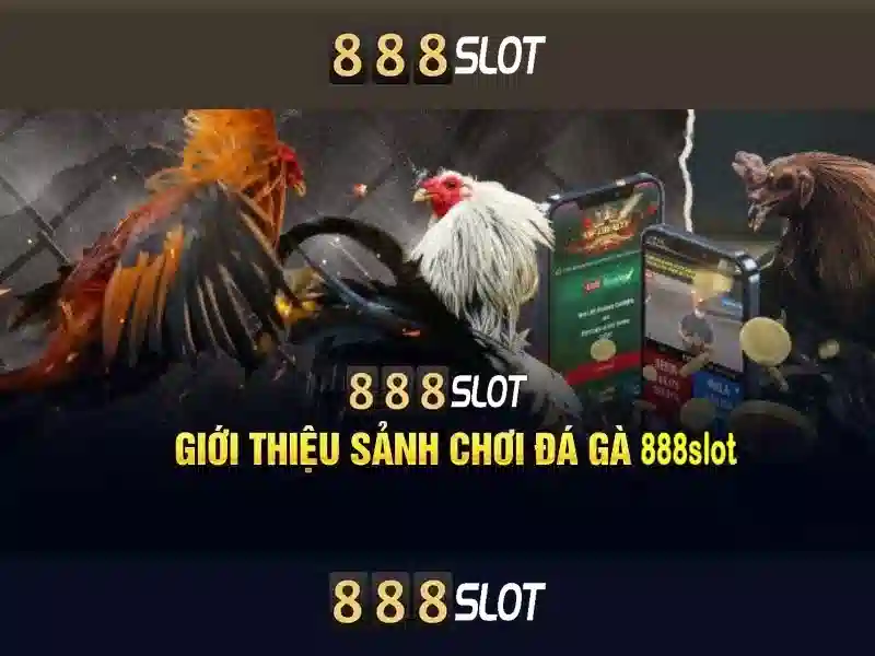 888slot – Nền tảng slot trực tuyến uy tín và giải trí hàng đầu