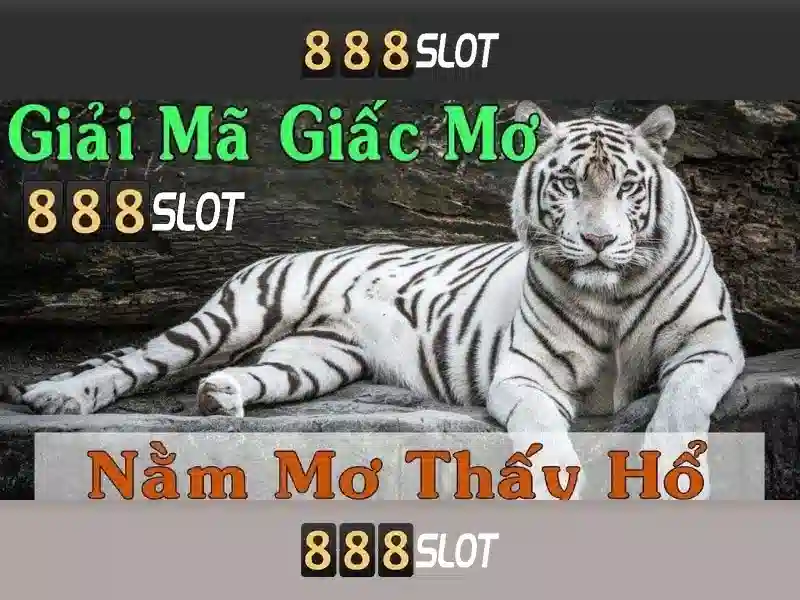 Giới thiệu về 888slot - Đánh giá nền tảng slot trực tuyến hàng đầu