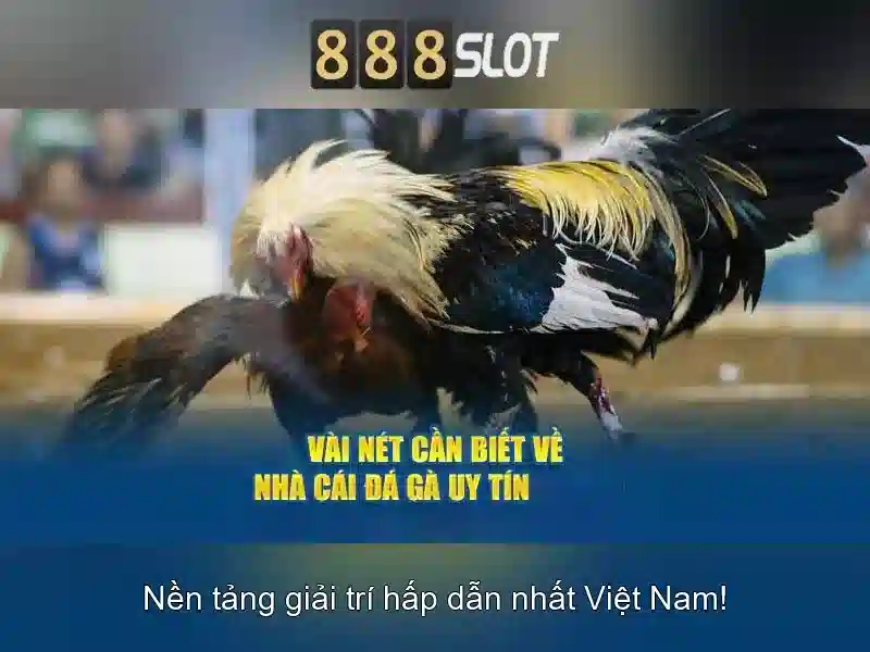888slot: Trải nghiệm casino trực tuyến an toàn và thú vị